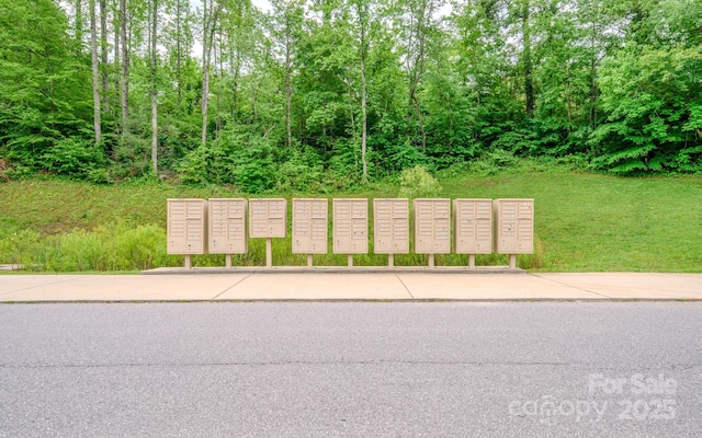 153 Water Leaf Dr, Weaverville, NC 28787 - view of home's community with mail area and a yard