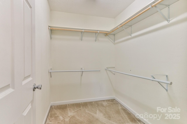 6079 Little River Ct, Granite Falls, NC 28630 - spacious closet with light carpet