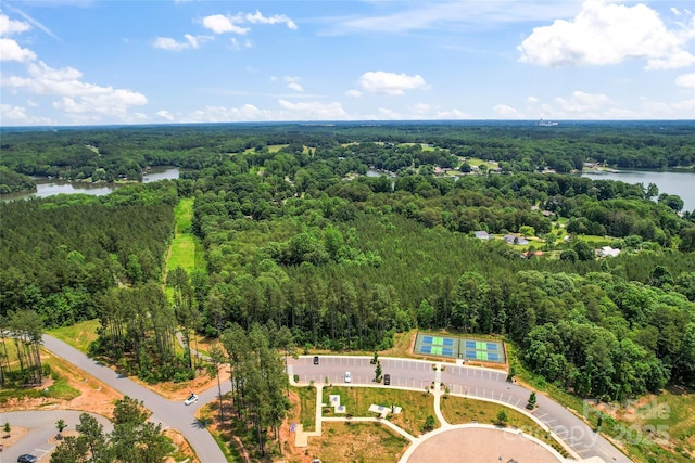 3078 Mountain Creek Dr, Sherrills Ford, NC 28673 - bird's eye view of a forest and a large body of water