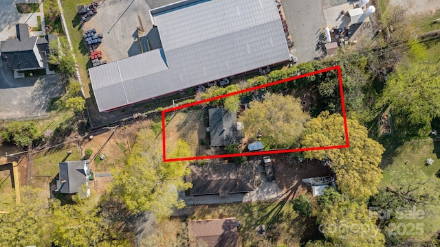 2201 Grimes St, Charlotte, NC 28206 - photo 4