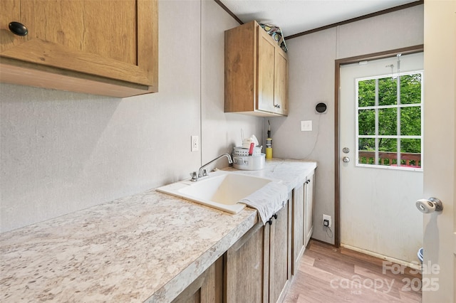 laundry room featuring a sink and light wood-style flooring