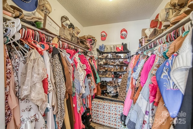 905 Severt Cir, Lenoir, NC 28645 - view of spacious closet
