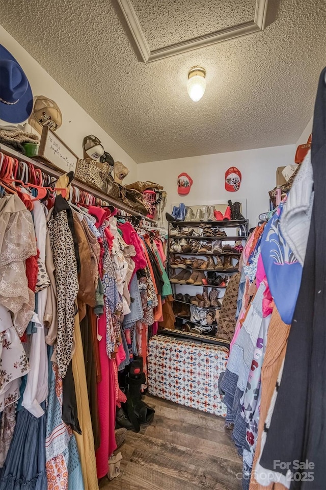905 Severt Cir, Lenoir, NC 28645 - walk in closet featuring attic access and wood finished floors