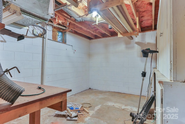 466 Shiloh Church Rd, Hickory, NC 28601 - unfinished basement with concrete block wall