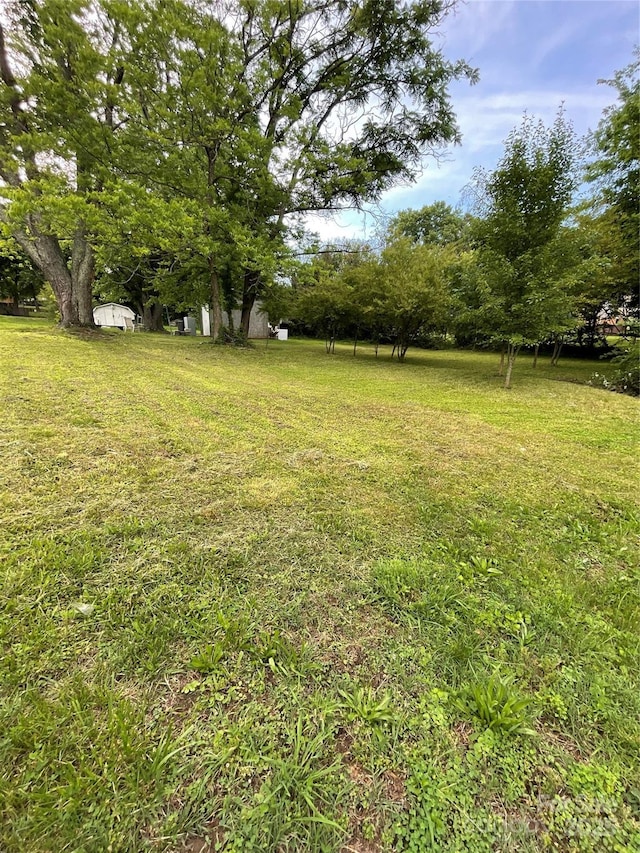 836 Mccreary St, Winston Salem, NC 27105 - view of green lawn