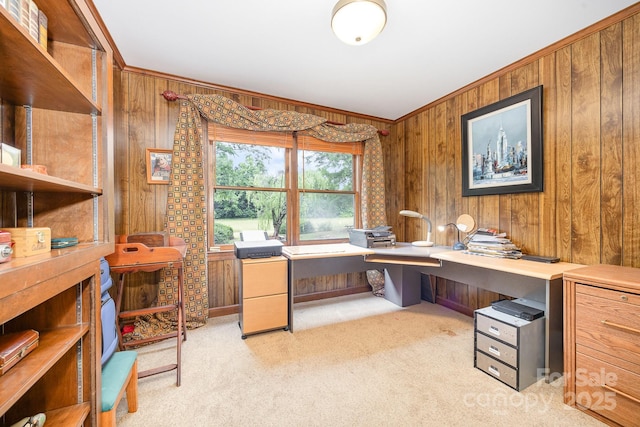 4630 Woodleaf Rd, Salisbury, NC 28147 - office featuring wooden walls, light colored carpet, and crown molding