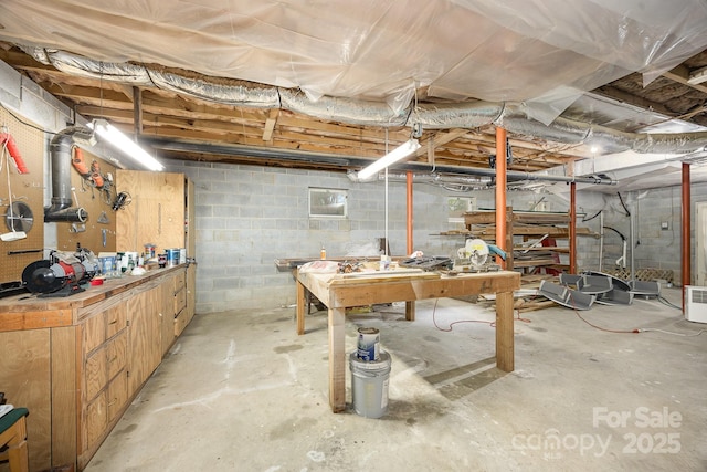 4630 Woodleaf Rd, Salisbury, NC 28147 - unfinished below grade area with a workshop area