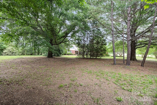 4630 Woodleaf Rd, Salisbury, NC 28147 - view of yard