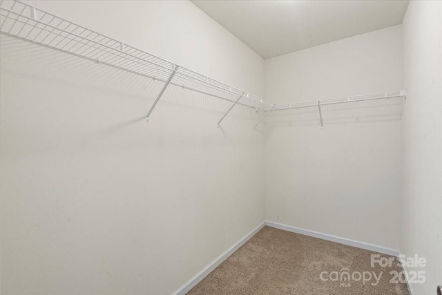 2515 Walnut Forest Dr, Charlotte, NC 28216 - spacious closet featuring carpet floors