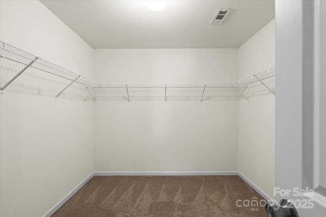 2515 Walnut Forest Dr, Charlotte, NC 28216 - spacious closet with carpet