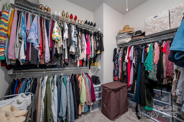 7530 Porrera St, Charlotte, NC 28214 - walk in closet featuring carpet flooring