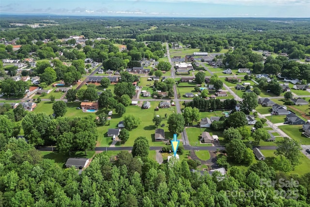 bird's eye view of a forest