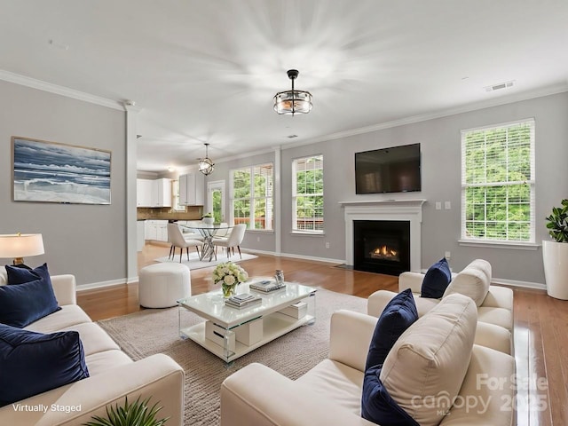 3038 Sterling Ct, Fort Mill, SC 29707 - living room featuring light wood finished floors, ornamental molding, baseboards, and plenty of natural light