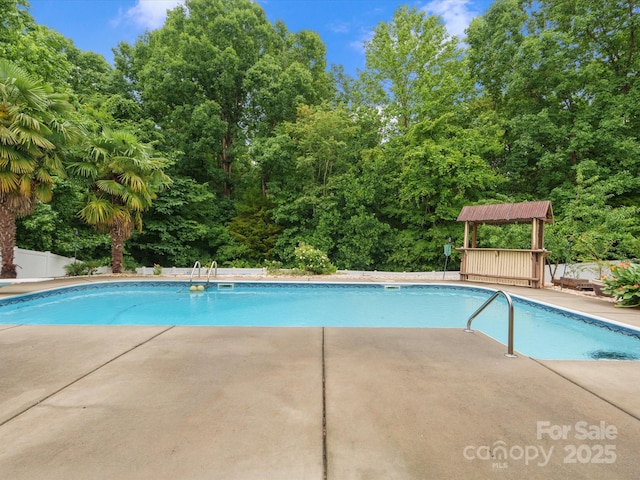 3038 Sterling Ct, Fort Mill, SC 29707 - view of pool with a patio area