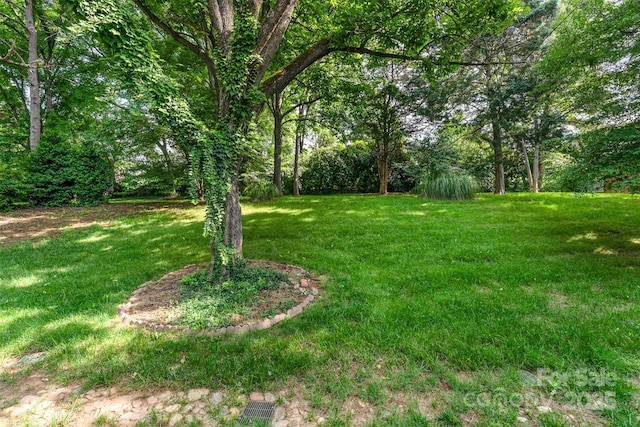 view of green lawn