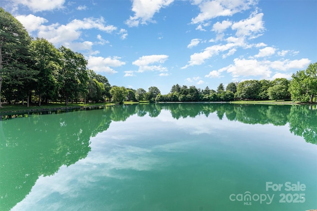 water view featuring a forest