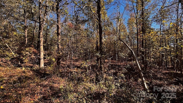 0 Dewroe Dr, Morganton, NC 28655 - photo 2