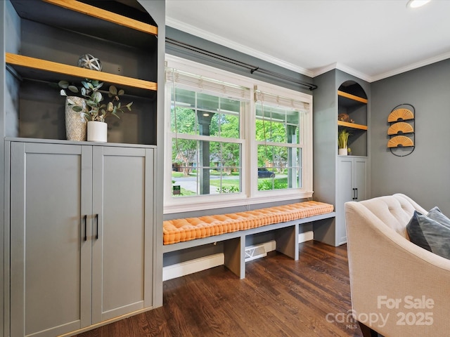 827 Fairbanks Rd, Charlotte, NC 28210 - mudroom featuring dark wood-style flooring and ornamental molding