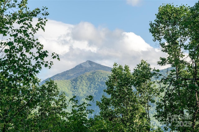 268 Trappers Run Dr, Burnsville, NC 28714 - view of mountain background