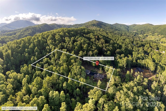 268 Trappers Run Dr, Burnsville, NC 28714 - aerial overview of property's location with a forest, a mountainous background, and property boundaries highlighted
