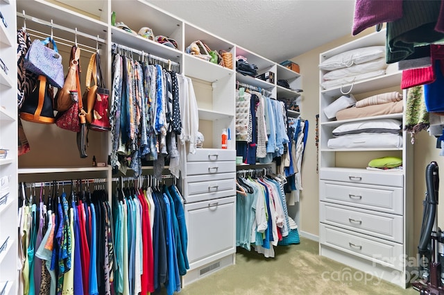 399 Stepping Stone Ln, Waynesville, NC 28786 - spacious closet featuring carpet floors