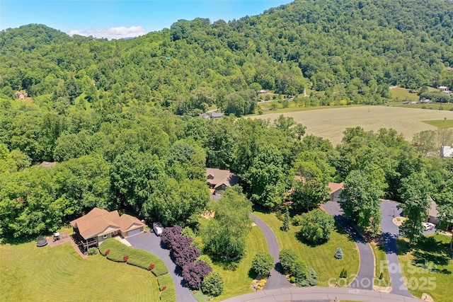 399 Stepping Stone Ln, Waynesville, NC 28786 - bird's eye view of a forest