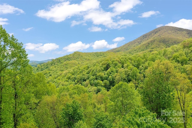 399 Stepping Stone Ln, Waynesville, NC 28786 - view of mountain backdrop with a forest