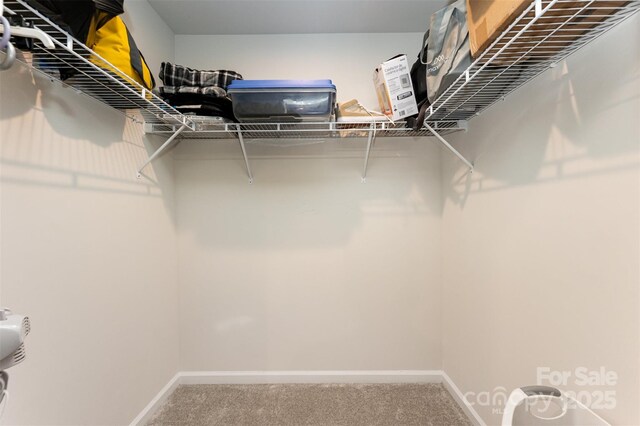 2037 Langer St, Charlotte, NC 28214 - spacious closet with carpet