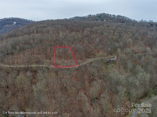 00 Chestnut Ln Unit 100, Mars Hill, NC 28754