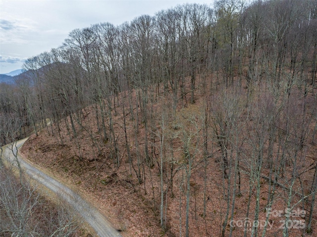 00 Chestnut Ln Unit 100, Mars Hill, NC 28754