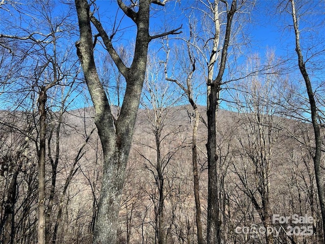 00 Chestnut Ln Unit 100, Mars Hill, NC 28754