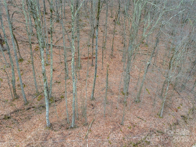 00 Chestnut Ln Unit 100, Mars Hill, NC 28754