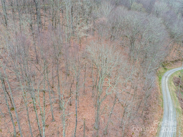 00 Chestnut Ln Unit 100, Mars Hill, NC 28754
