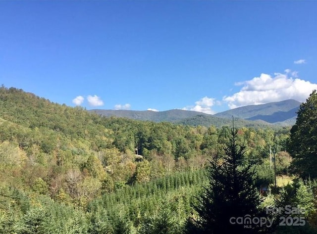 180 Triangle Rd, Tuckasegee, NC 28783