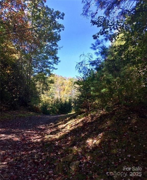 180 Triangle Rd, Tuckasegee, NC 28783