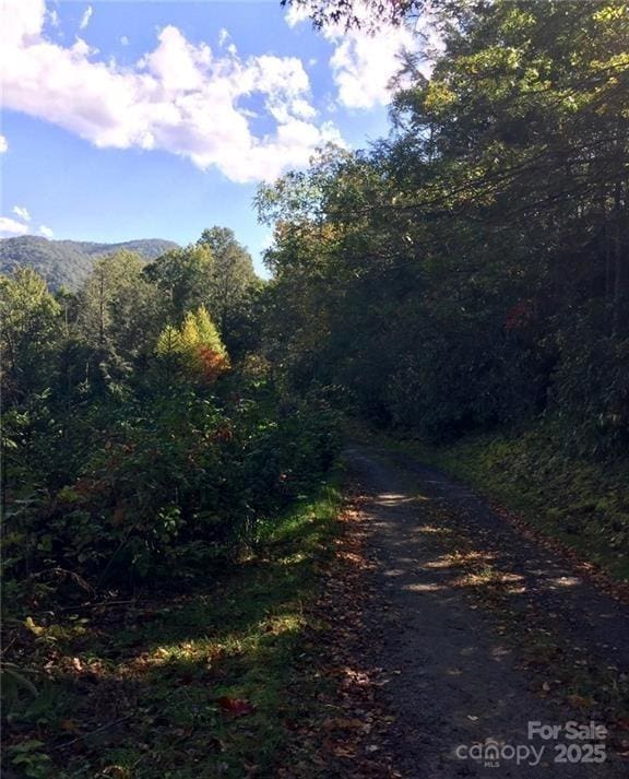 180 Triangle Rd, Tuckasegee, NC 28783