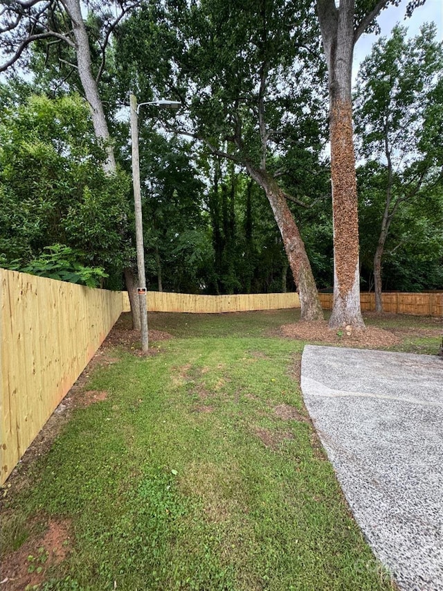 3700 Denson Pl, Charlotte, NC 28215 - view of yard