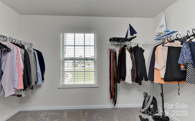 9505 Cotswood Pl, Gastonia, NC 28056 - spacious closet with carpet floors