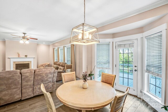 1503 Stoney Ct, York, SC 29745 - dining room featuring light wood-type flooring, crown molding, a ceiling fan, a glass covered fireplace, and a chandelier