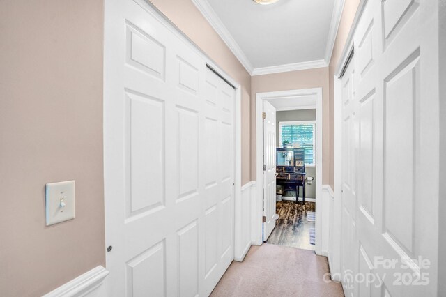 1503 Stoney Ct, York, SC 29745 - corridor with ornamental molding, wainscoting, and light colored carpet