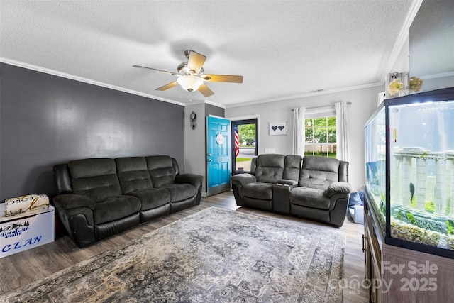 641 Saratoga Dr, Clover, SC 29710 - living area with wood finished floors, ceiling fan, a textured ceiling, and ornamental molding