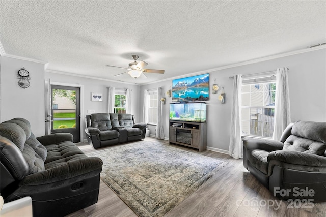 641 Saratoga Dr, Clover, SC 29710 - living area with crown molding, wood finished floors, healthy amount of natural light, a textured ceiling, and ceiling fan