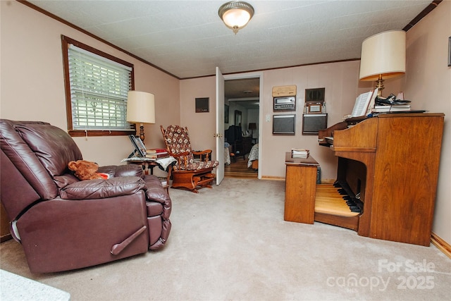 773 Peppers Creek Rd, Marion, NC 28752 - living room featuring ornamental molding and light colored carpet