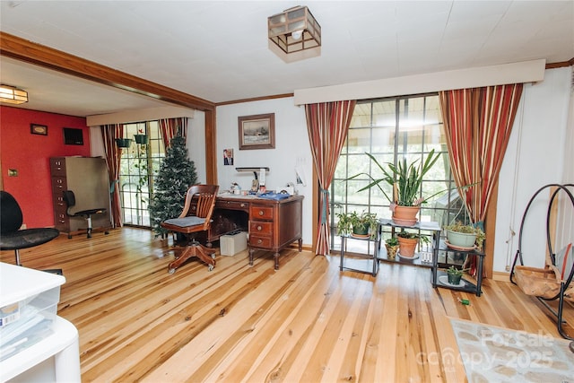773 Peppers Creek Rd, Marion, NC 28752 - home office with healthy amount of natural light and hardwood / wood-style floors