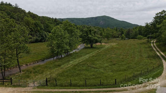 773 Peppers Creek Rd, Marion, NC 28752 - mountain view featuring rural landscape