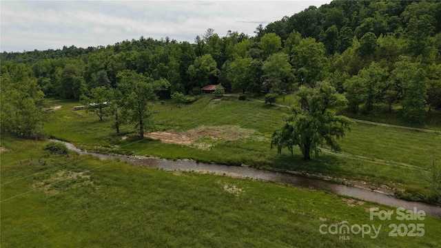 773 Peppers Creek Rd, Marion, NC 28752 - view of home's community featuring a view of rural / pastoral area