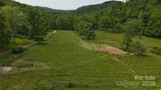 773 Peppers Creek Rd, Marion, NC 28752 - aerial view of sparsely populated area with a heavily wooded area and mountains