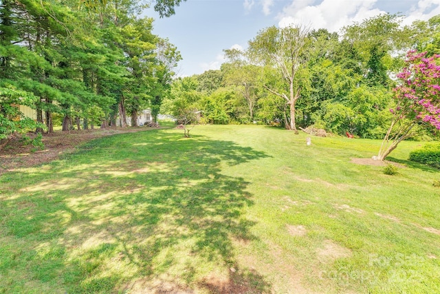 179 Brevard Rd, Asheville, NC 28806 - view of green lawn