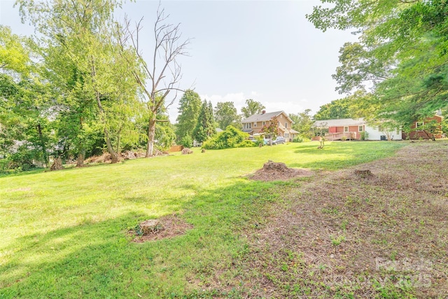 179 Brevard Rd, Asheville, NC 28806 - view of green lawn