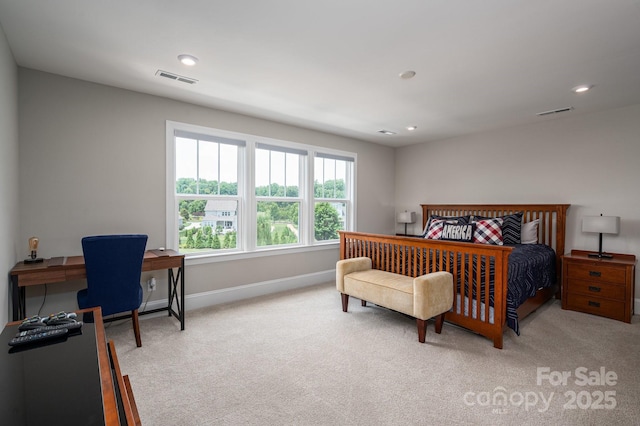 124 Cross Current Ln, Belmont, NC 28012 - photo 37